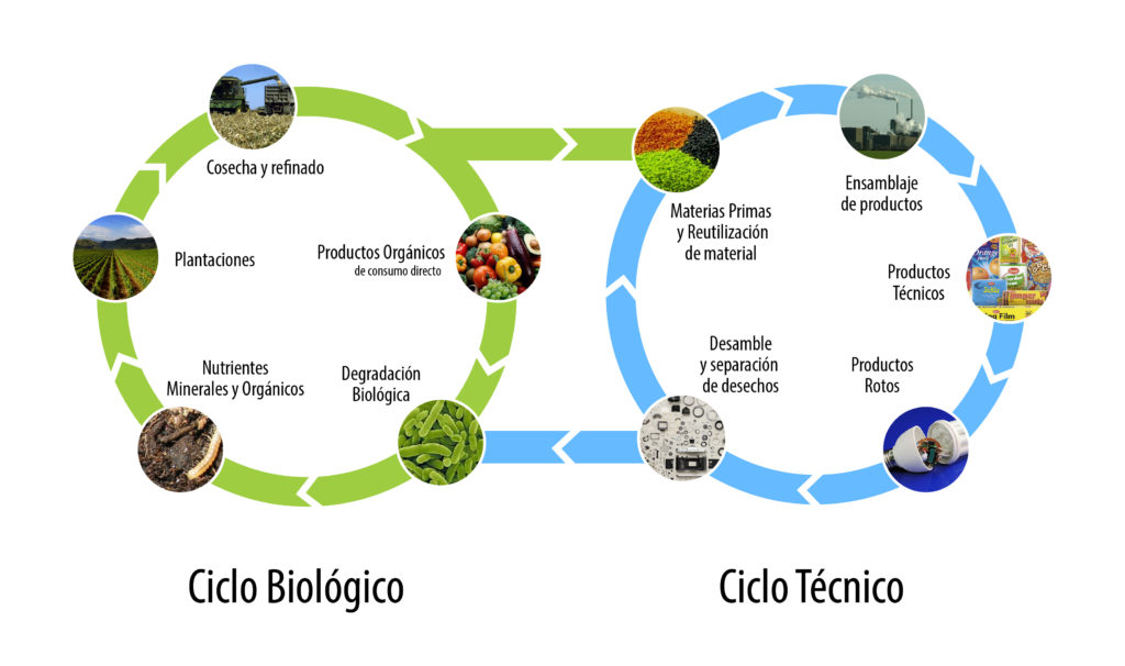 Esquema representativo del ciclo tecnológico imitando un ciclo biológico, bajo la perspectiva del "de la cuna a la cuna".