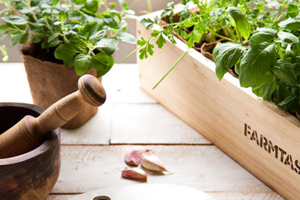 GastroJardín es la línea de jardineras de madera de plantas aromáticas. Kits con todo lo necesario para crear un pequeño jardín de plantas aromáticas. Diferentes semillas ecológicas, aromáticas de la Toscana y aromáticas del Mediterráneo dos selecciones de las plantas más utilizadas en la cocina. 