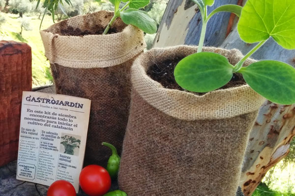 Un precioso saco de yute, sustrato natural y semillas vigorosas pacientemente escogidas. El cuidado, la paciencia y el respeto por la planta harán el resto. De hecho, desde Farmtasticº apuntan que “Vuelta a las Raíces es un reconocimiento a un tiempo en el que se vivía más despacio y cerca de la tierra”. Las semillas son de polinización abierta por lo que la flor poliniza de forma natural, ya sea a través de los insectos, la lluvia primaveral o la brisa del viento.